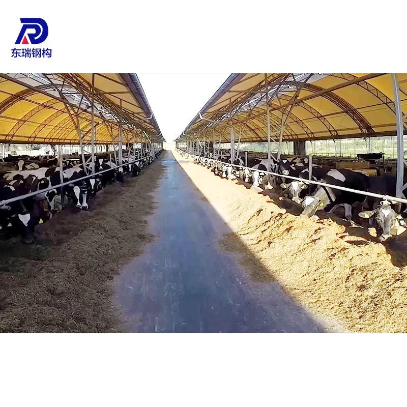Light Frame Steel Structure Poultry Farm Shed Design Prefab Poultry House