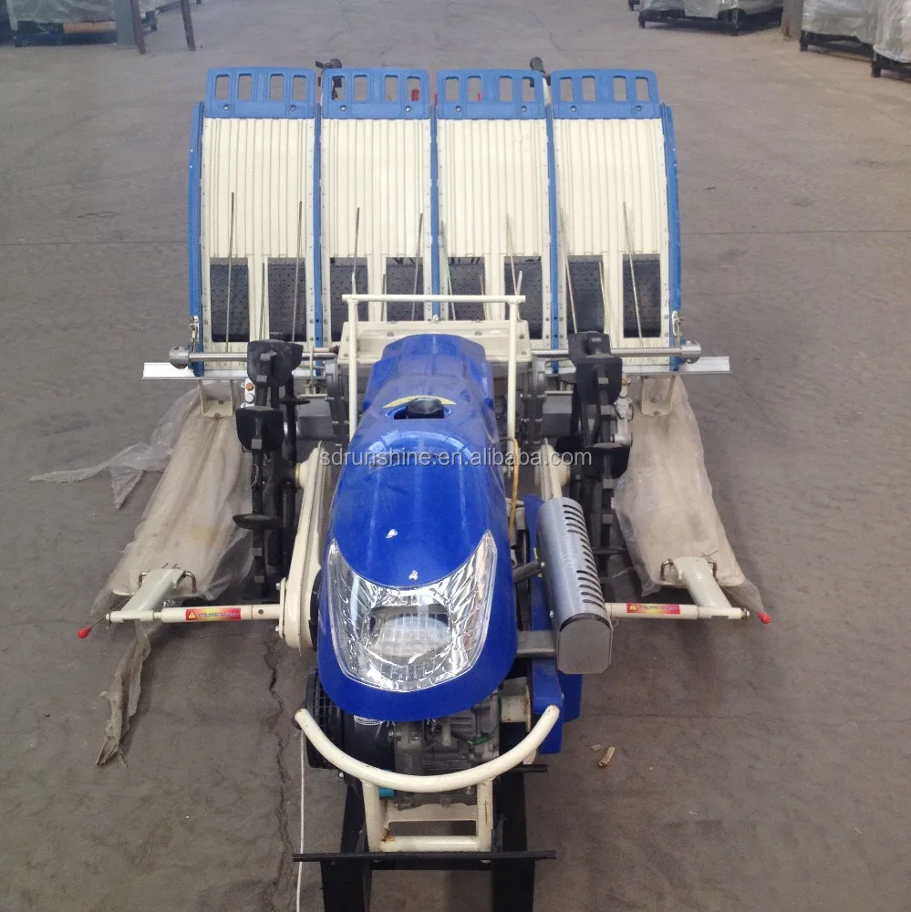 Runshine high quality 2Z-430 walking rice seedling planter