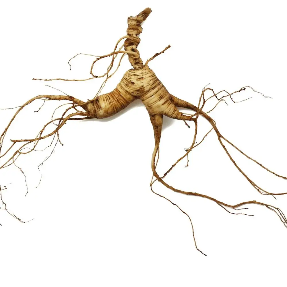 
80% ginsenoside from Ginseng Root Extraction 