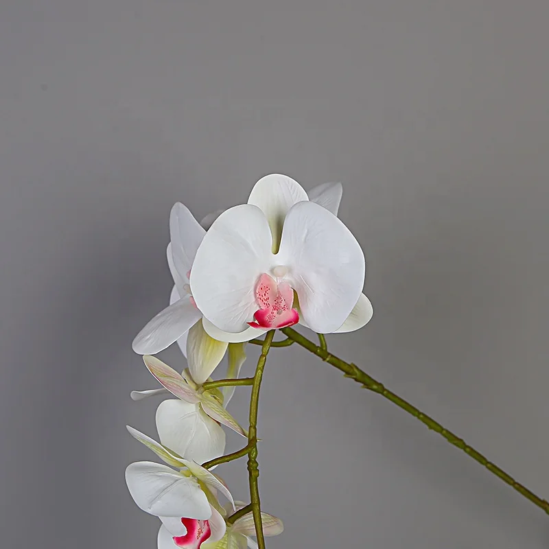 In stock artificial orchid real touch artificial indoor decorative flowers for sale