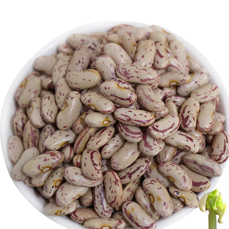 Легкая зернистая фасоль pinto beans