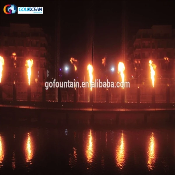 Outdoor Fire Flame Exciting Performance Flame Effect Water Fountain