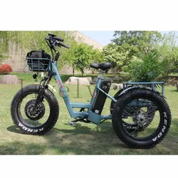 CE trike с толстыми покрышками 20 дюймов грузовой велосипед трехколесный электрический велосипед