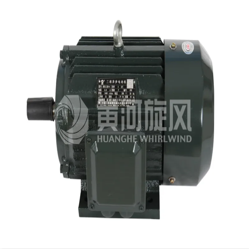 
Squirrel Cage Three Phase Ac Motor Induction Electric Motor 