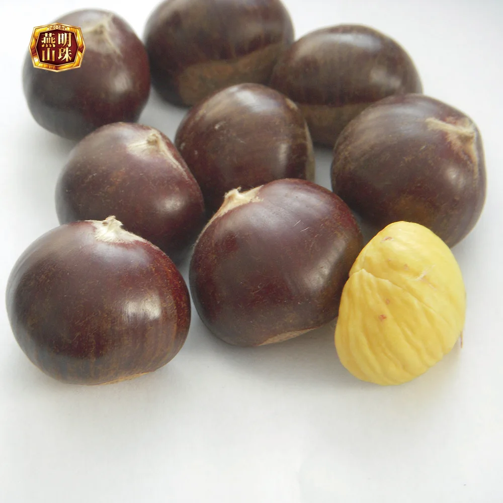 2020 New Crop Yanshan Raw Fresh Chestnut Nuts
