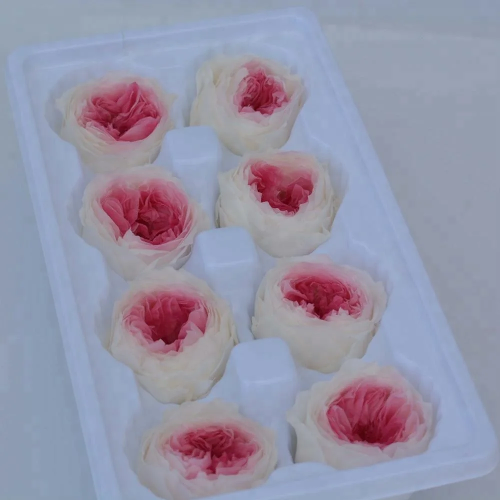 Best Online Export Sells Fresh Preserved Austin Roses Flowers for Key Chain