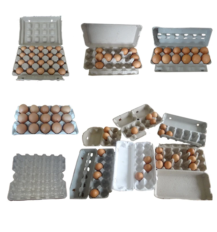 Pulp Moulding Process Type and Egg Use 6 hole /12 hole paper egg tray production line