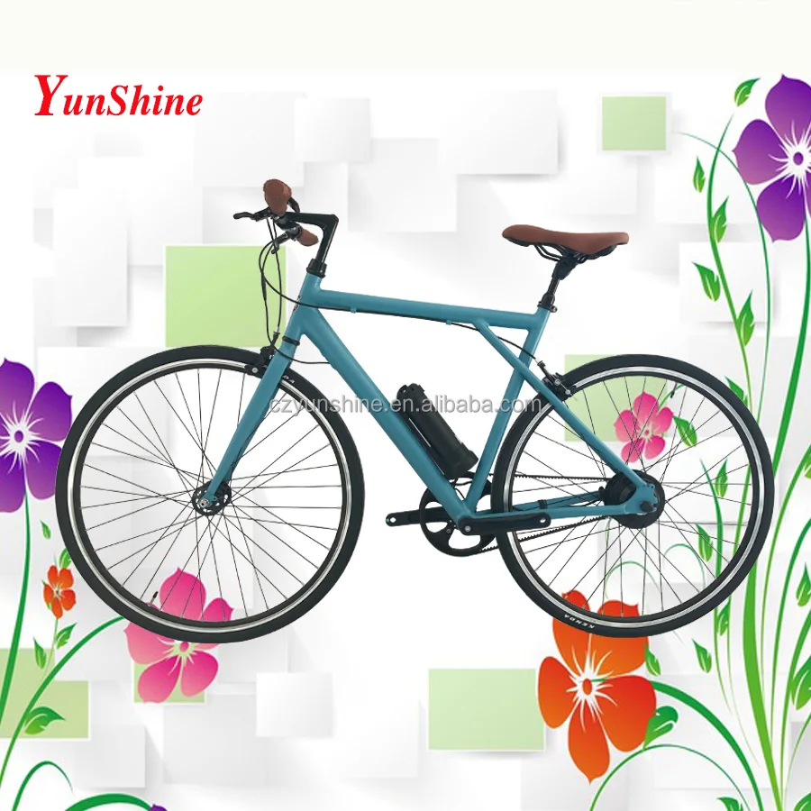 
Roadster, 24 volt vintage electric bike bicycle set 