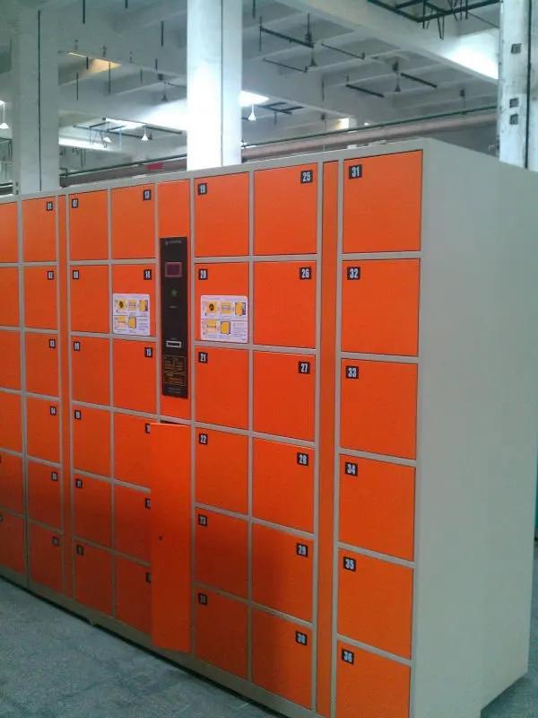 Customized Automatic Pin Code Luggage Electronic Out Door Smart Parcel Locker