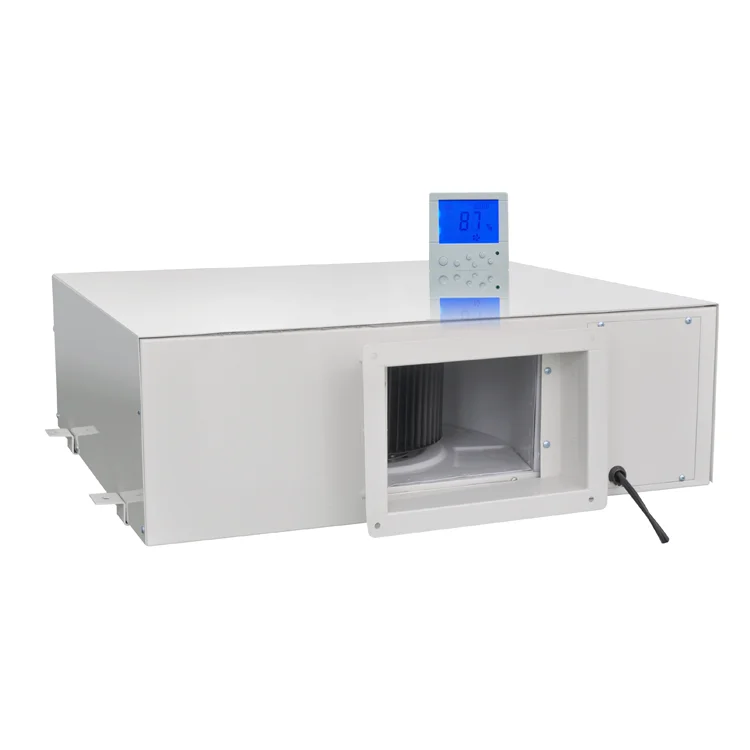 Indoor Swimming Pool Cheap Price Ceiling Mounted Dehumidifier