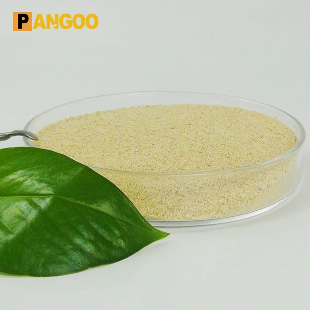 PGPB 01 Beneficial bacteria soil conditioner for planting made in China