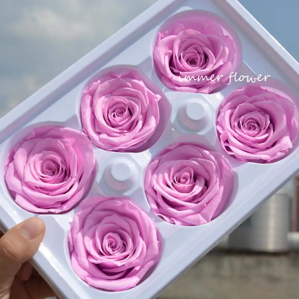 Wholesale fresh preserved rose freeze dried rose heads