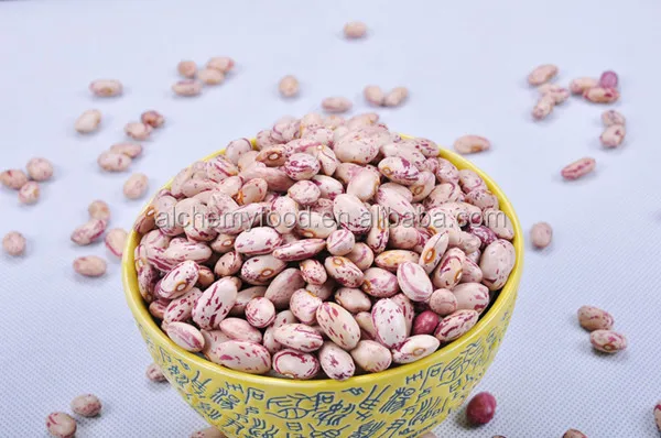 best price of light kidney bean for hot sale with good quality