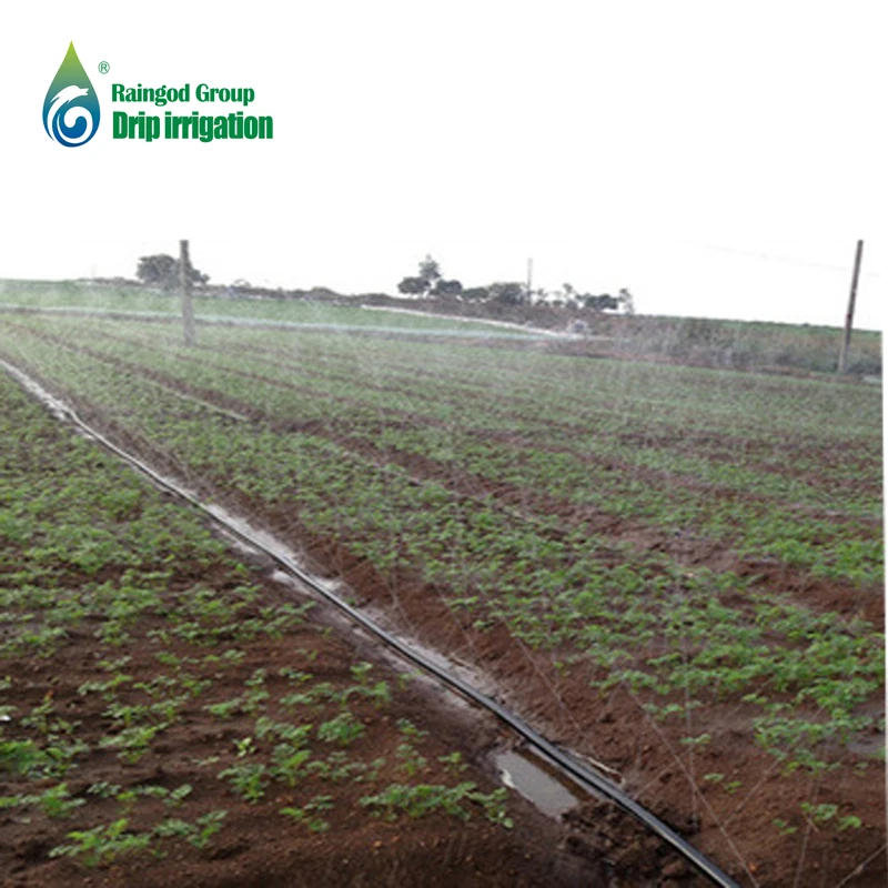 FREE SAMPLE spraying hose for agricultural irrigation system