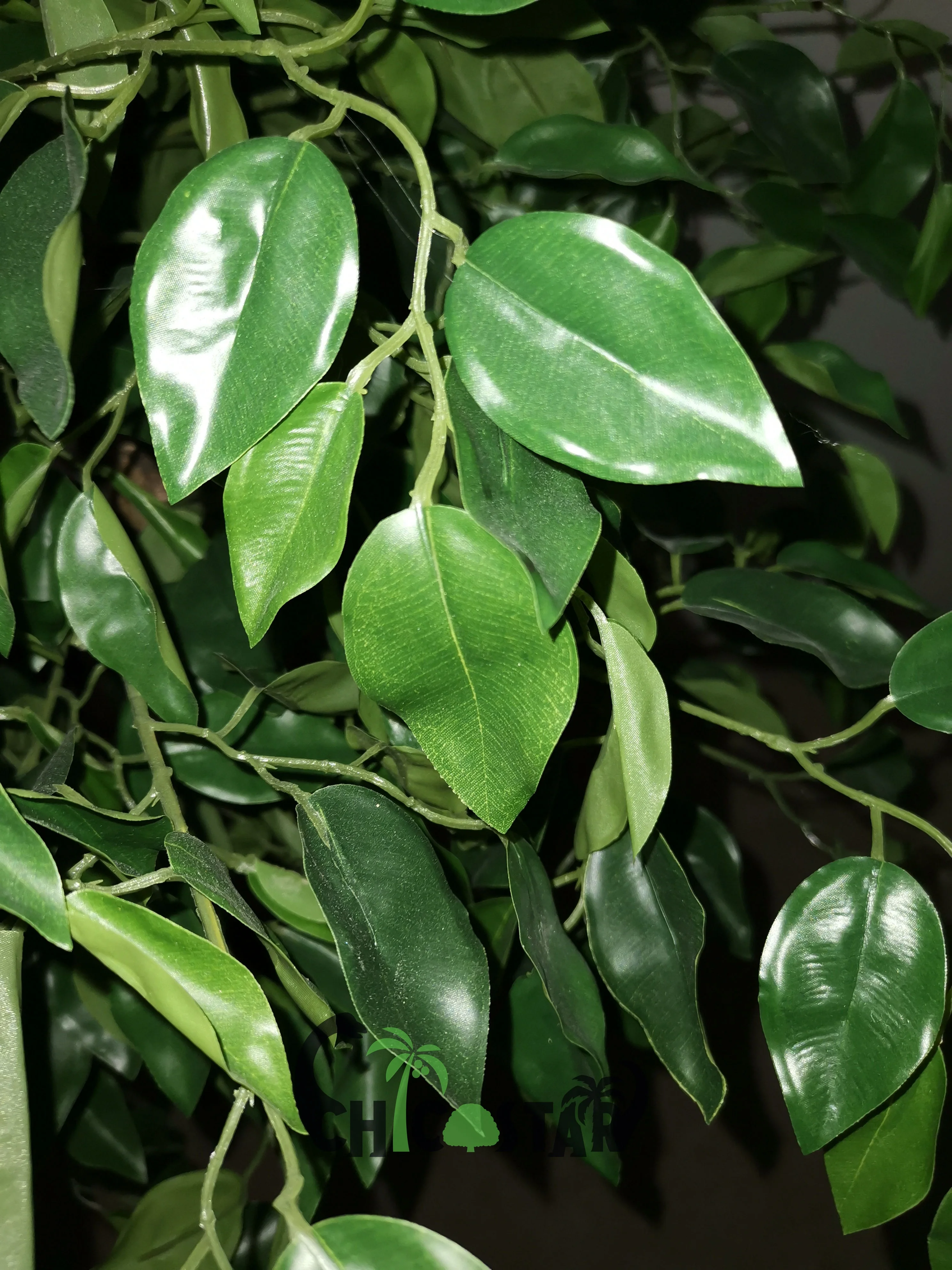 Wholesale indoor wooden artificial mini banyan tree for home decoration