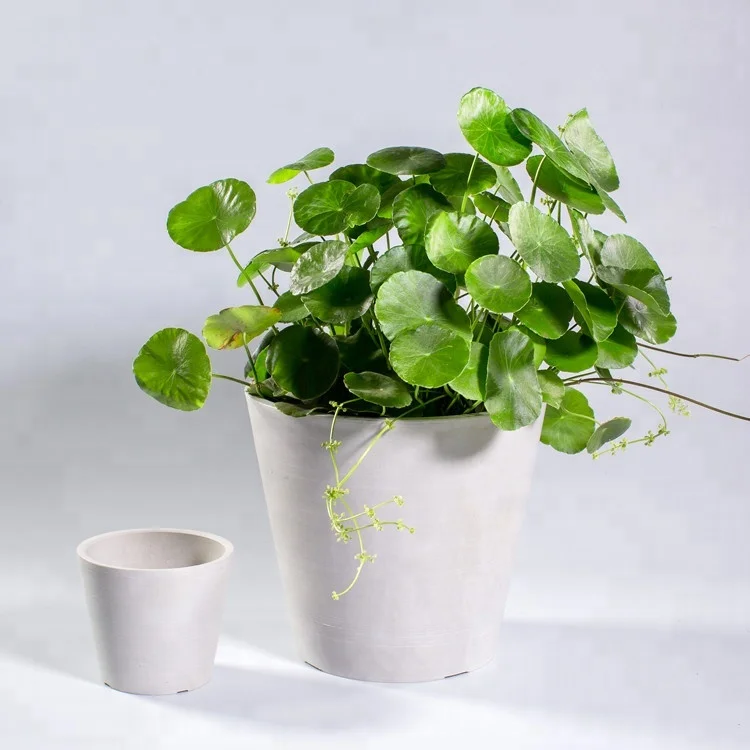 AYT10-001 10cm colorful small flowerpot for indoor decoration