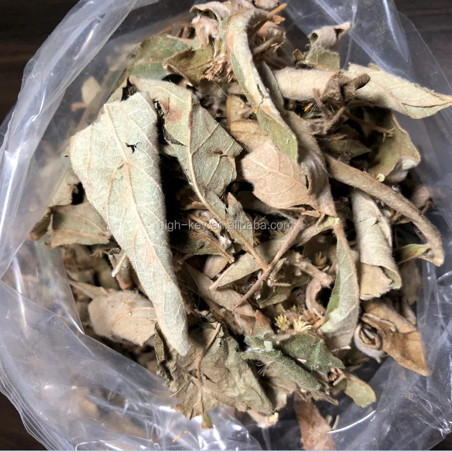 
5046 Yang er ju Hot Selling Natural Herbs Dried Leaves Inula Cappa 