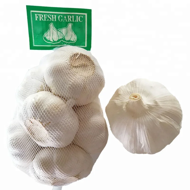 Hot Sale Super Quality 5.5cm 10Kg Carton Box Whites Fresh Garlic For Israel