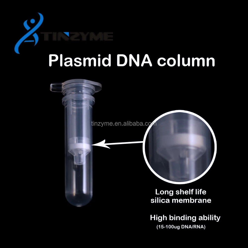 Silica membrane Plasmid DNA Spin column long shelf life