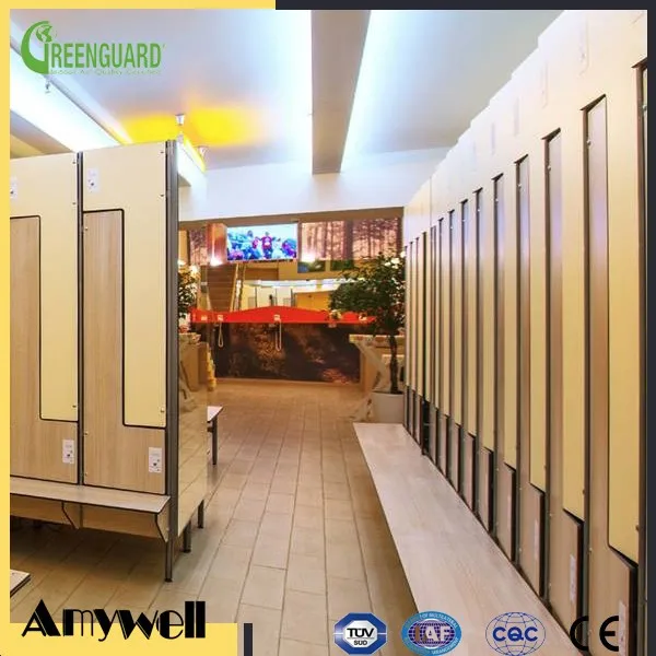 Amywell hotsale matt surface durable waterproof hpl compact laminate mini locker