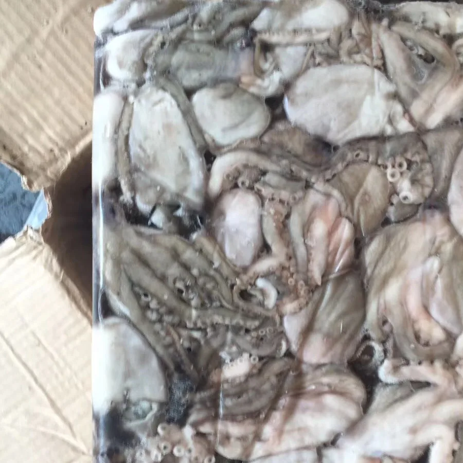Fresh cleaned frozen octopus ,short leg all size