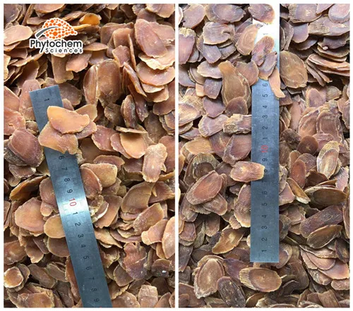 top grade korean red ginseng extract / korea 5%- 80% ginsenosides korean red ginseng extract