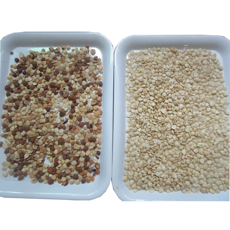 Multifunction Optical Sorting Machine