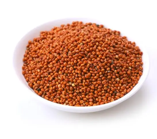 bird feed Red Broomcorn Millet for bird