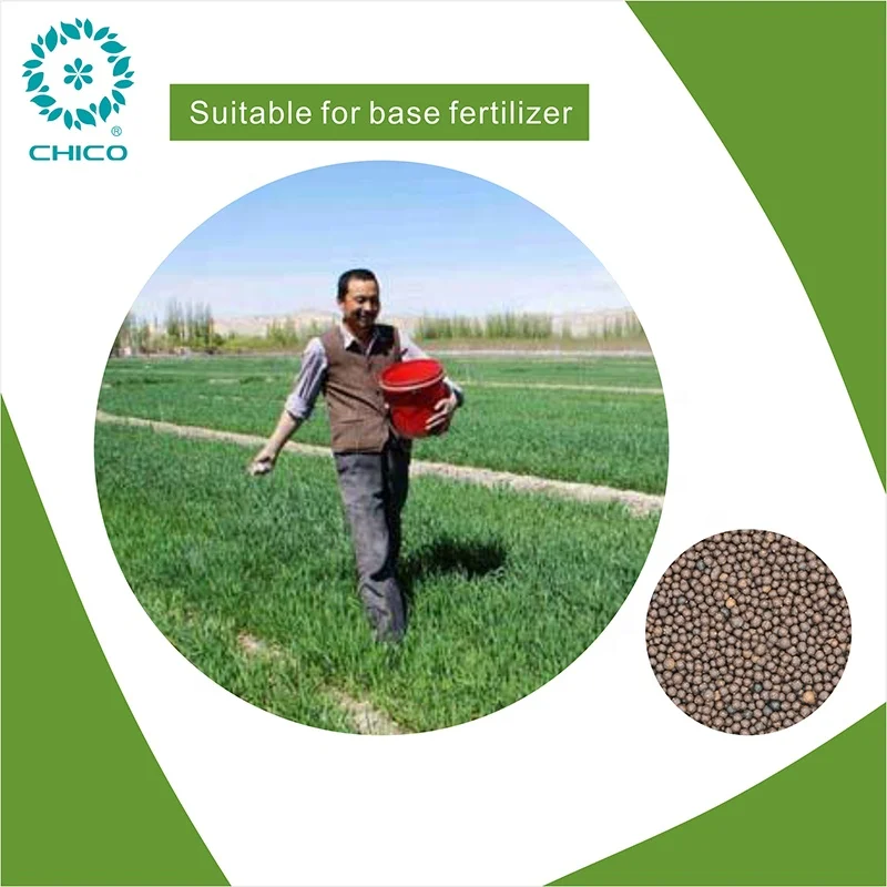 Compound Plant source Organic Amino Acid fertilizer with good price