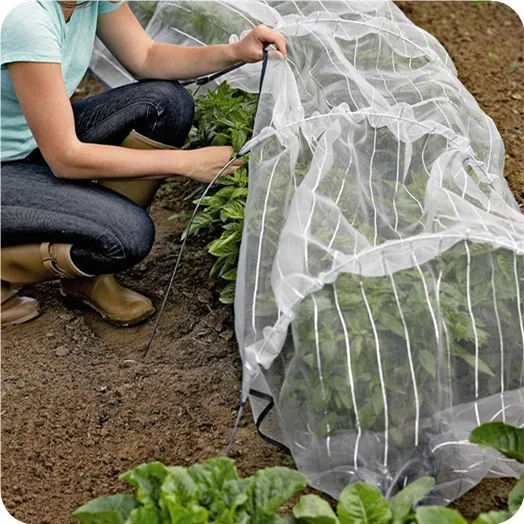 
Anti insect net for garden 