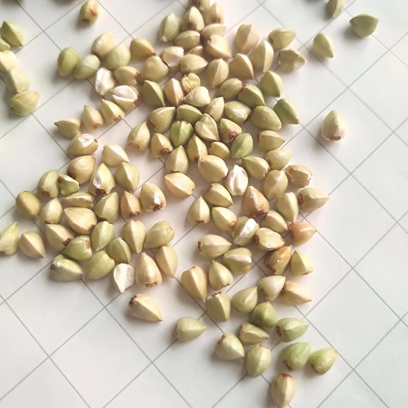 Оптовая продажа гречихи, гречихи