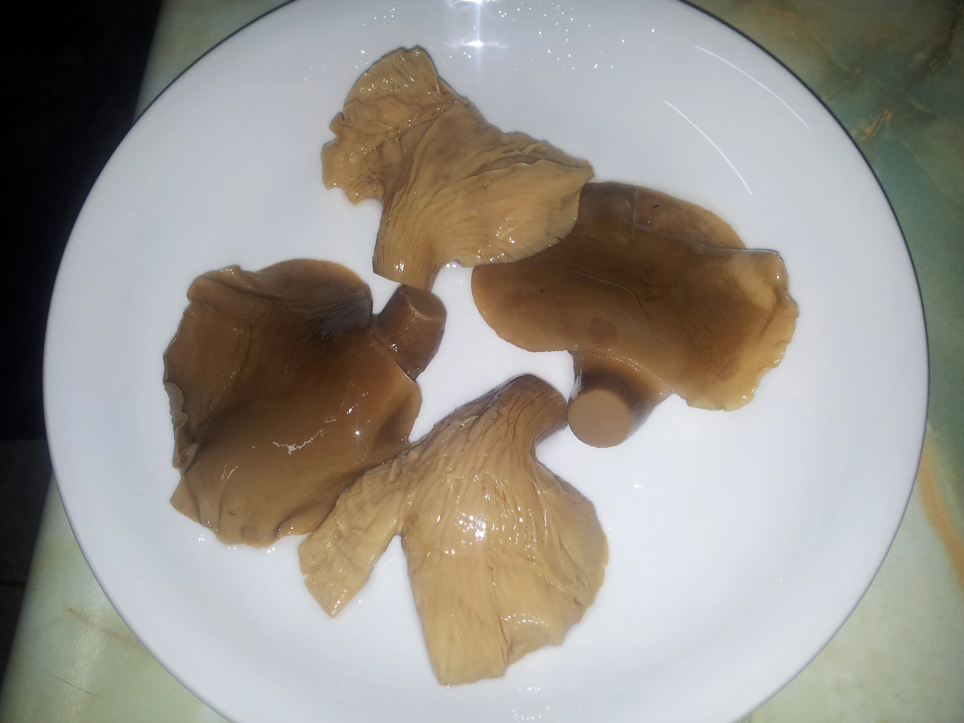 
canned abolane mushroom in vacuum bags 