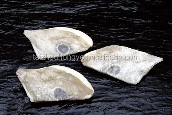 
frozen john dory fillet/HG/HGT 