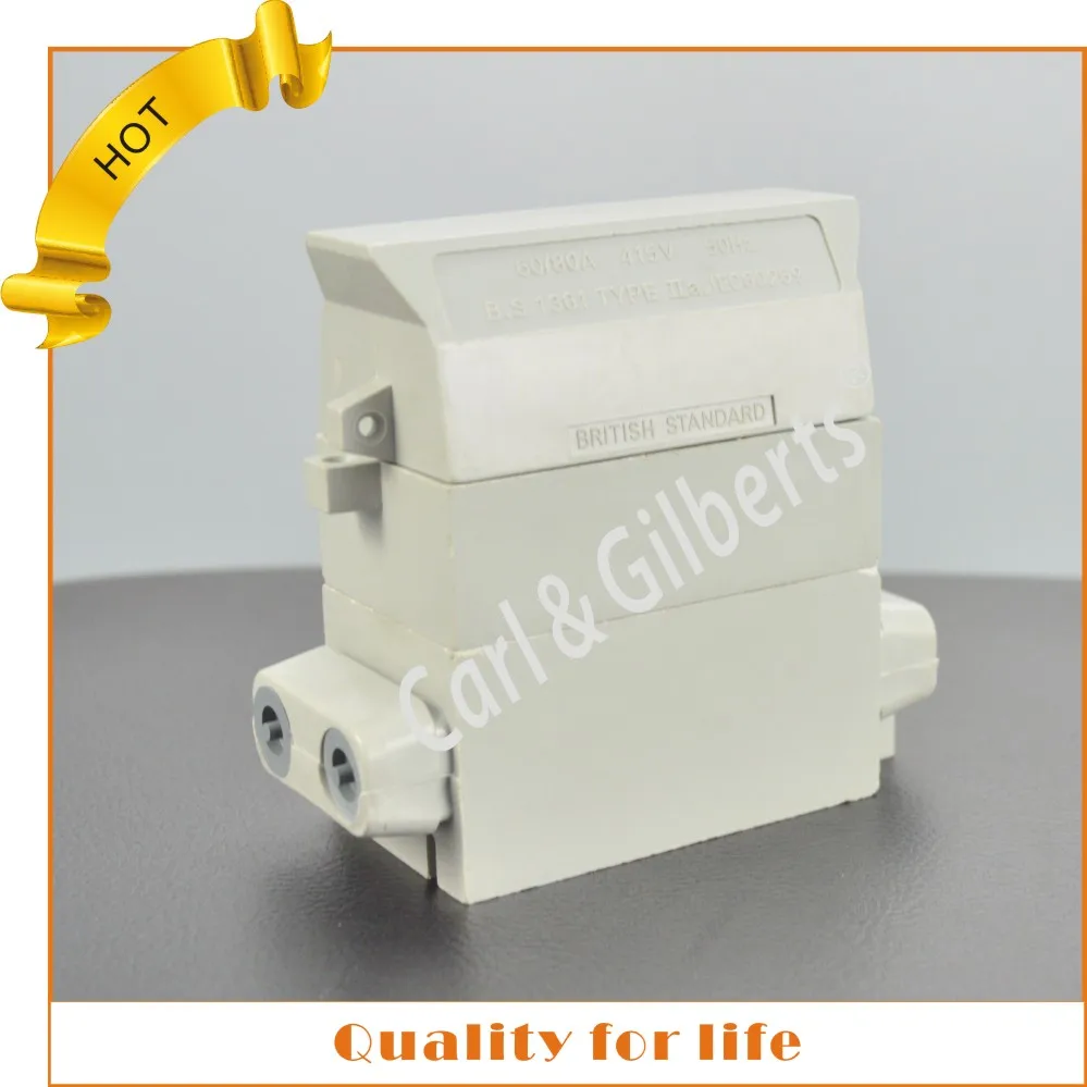 Leading manufacturer house service cut-outs fuse with 60amp/80amp