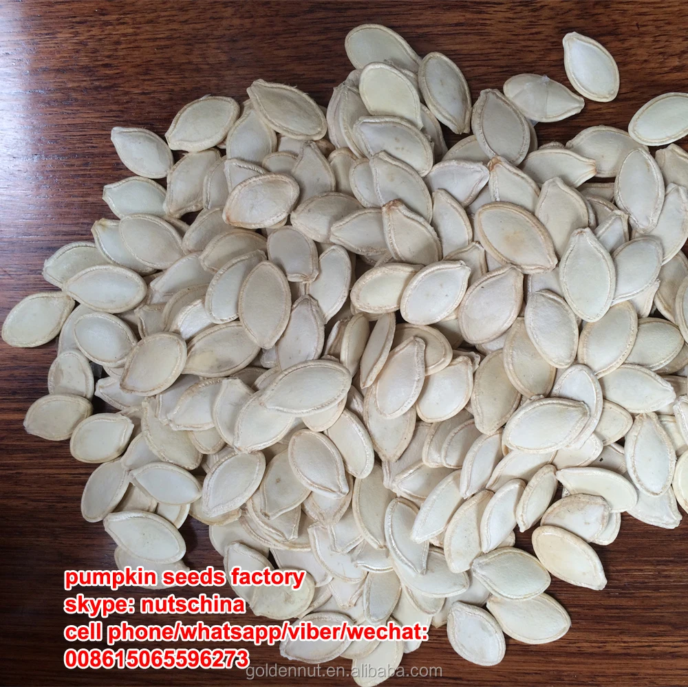 
chinese green pumpkin seeds grown without shell (GWS) AAA/ AA / A 