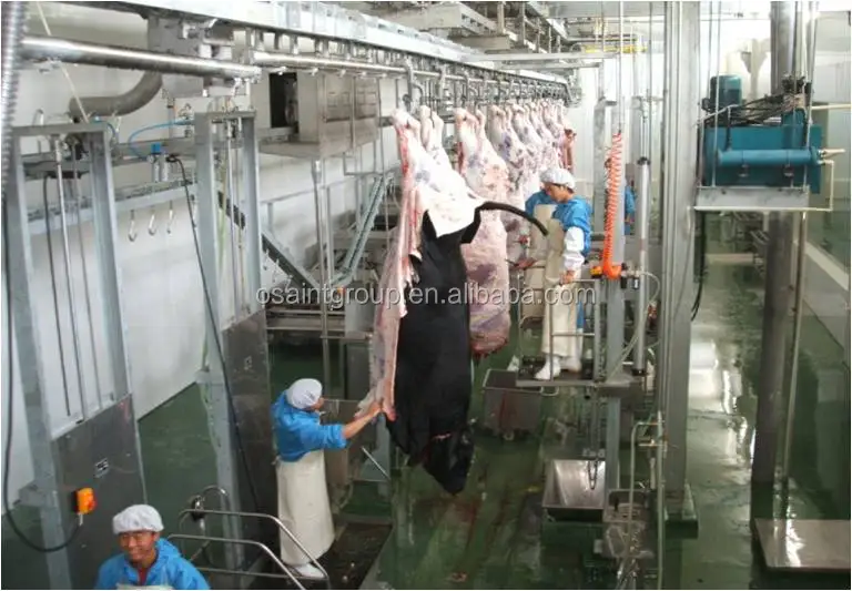 Halal оборудование для забоя крупного рогатого скота