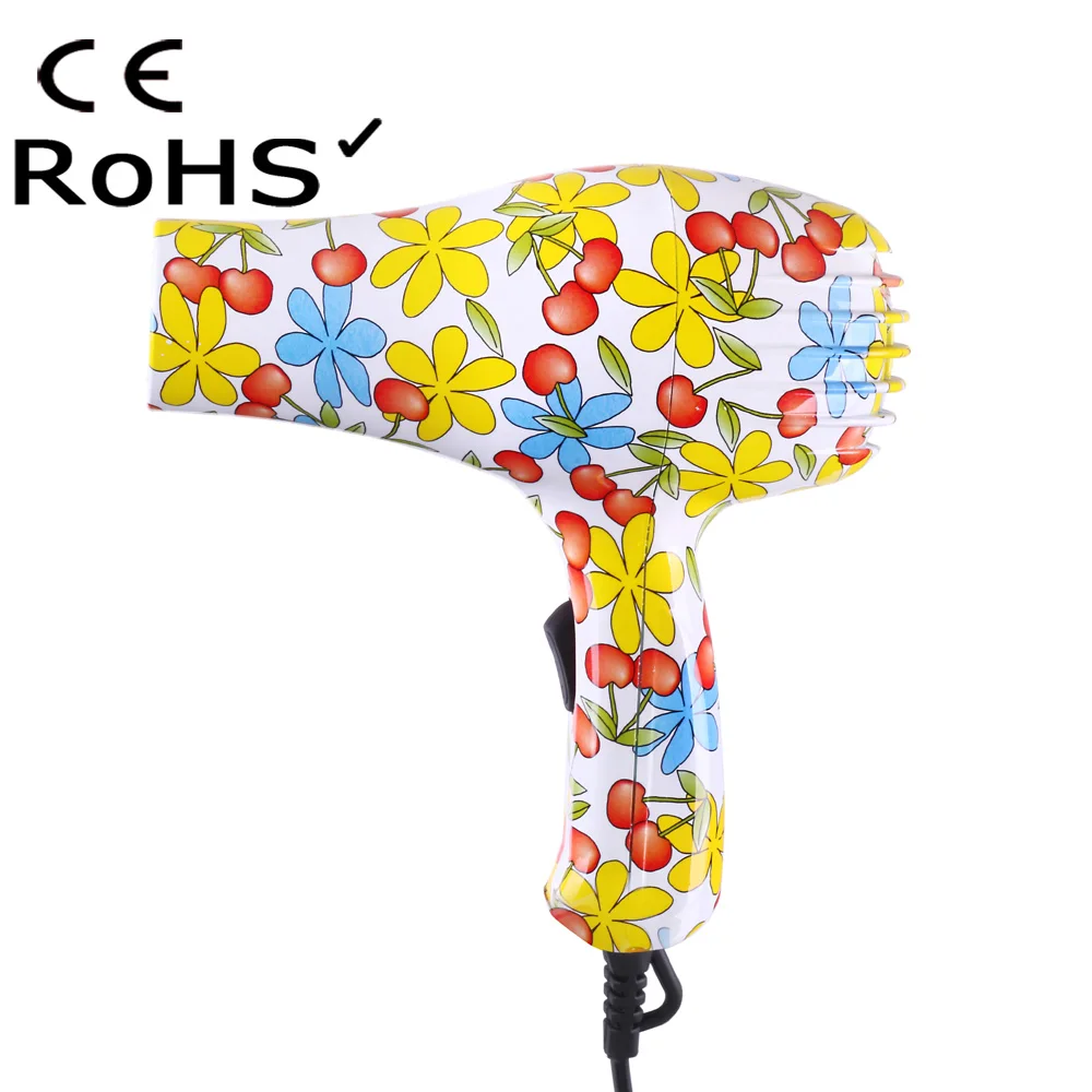 Hot Selling Printing Electric Portable Hair Dryer