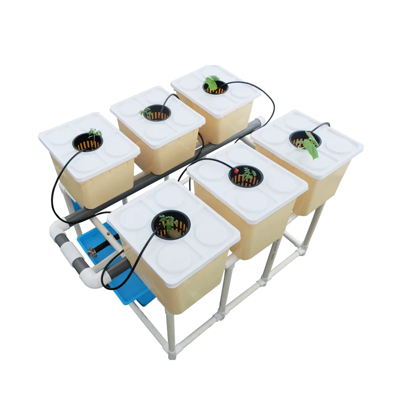 Skyplant Tomato Dutch Bota Bucket System in a full set growing system