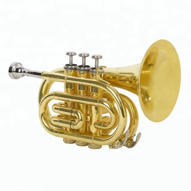 
Accept OEM DSPT-5801 Gold Lacquer Pocket Trumpet 
