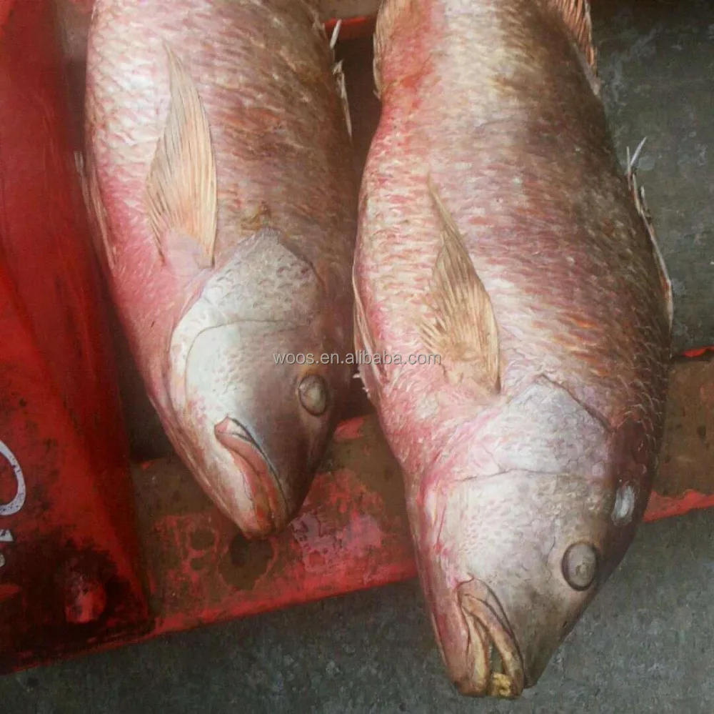 Замороженный красный