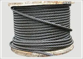Cheaper 30 ft titanium wire rope 7x19