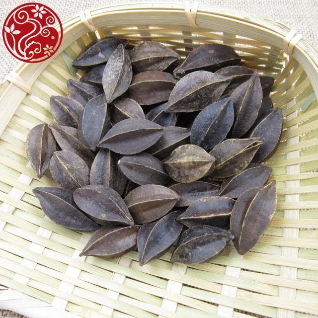 The fruit of rangoon creeper Shi jun zi