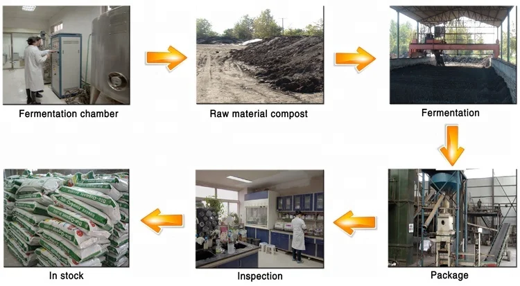 fixed nitrogen organic powder Rhizobium Sp fertilizer