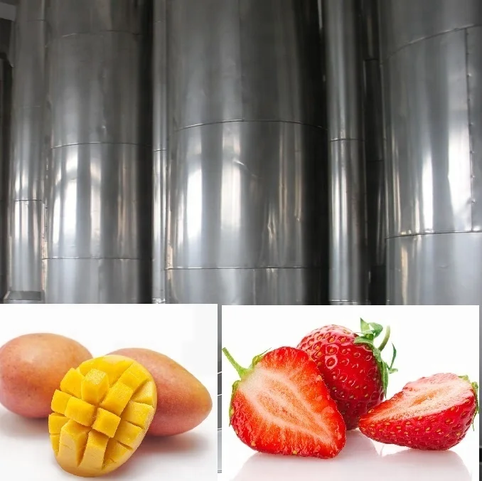 Watermelon Juice Processing Line/Complete Mango Juice Processing Machines