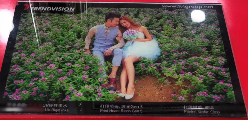 UV Rigid  Flexible Ink for Epson printhead UV Tintas for epson ink for epson l1300 printer