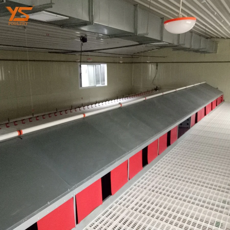 
Modern Automatic breeder floor/ ground feeding system 