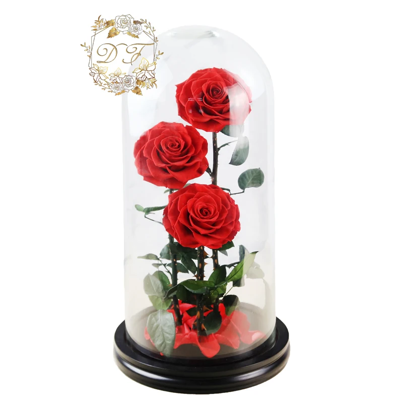 Wholesale Preserved Rose In Glass Dome For Wedding Decorations