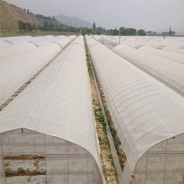 Single tunnel greenhouse for large scale growth