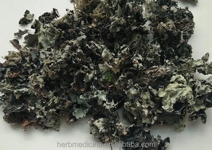 Сырье Ши Хуа, натуральное сухое цельное растение для здорового питания, Parmelia saxatilis