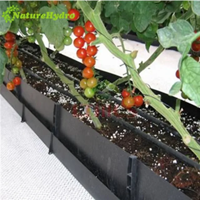 Hydroponics Greenhouse agricultural greenhouse Growing Trough PP rolls